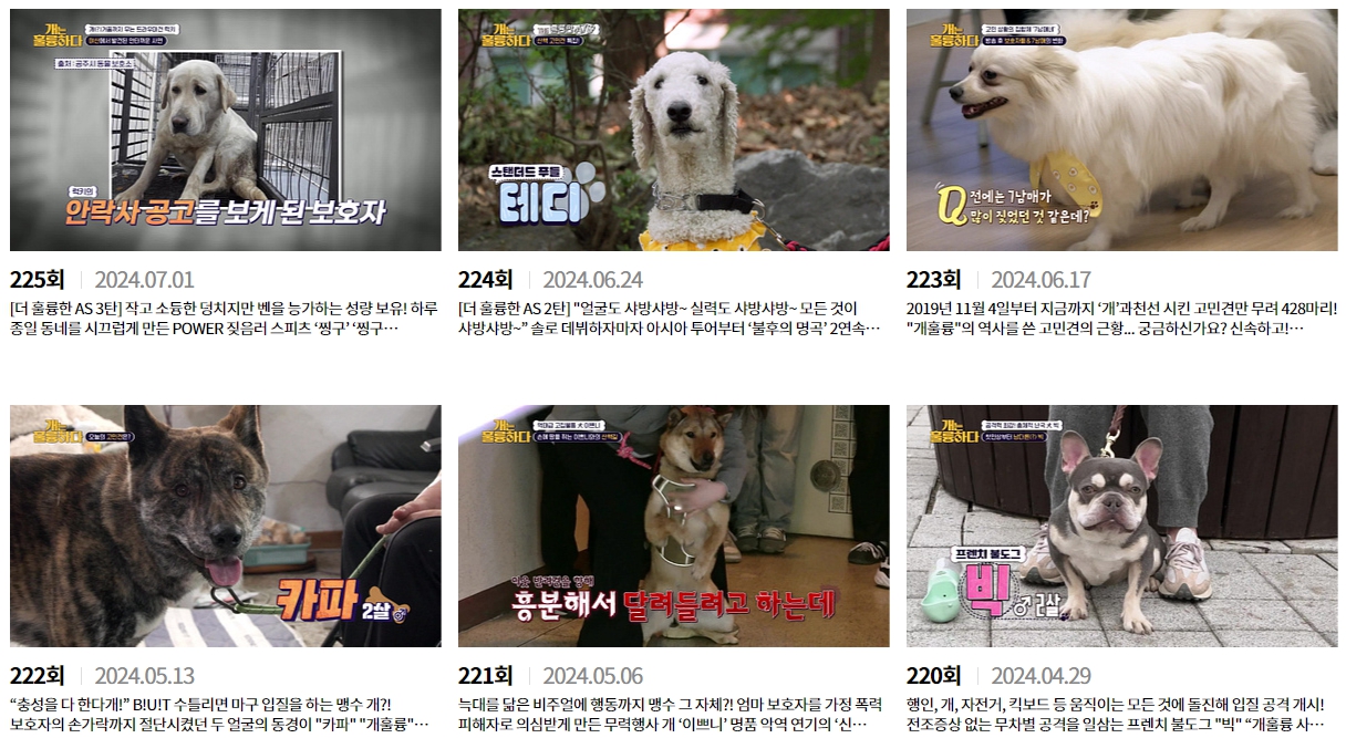 개훌륭 다시 보기