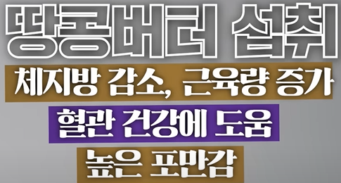 땅콩버터가 다이어트에 좋은이유