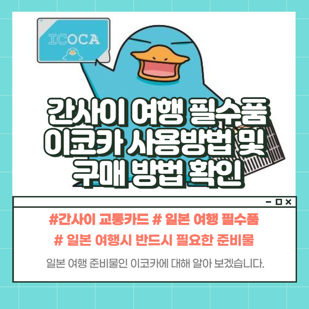 이코카 구매방법
