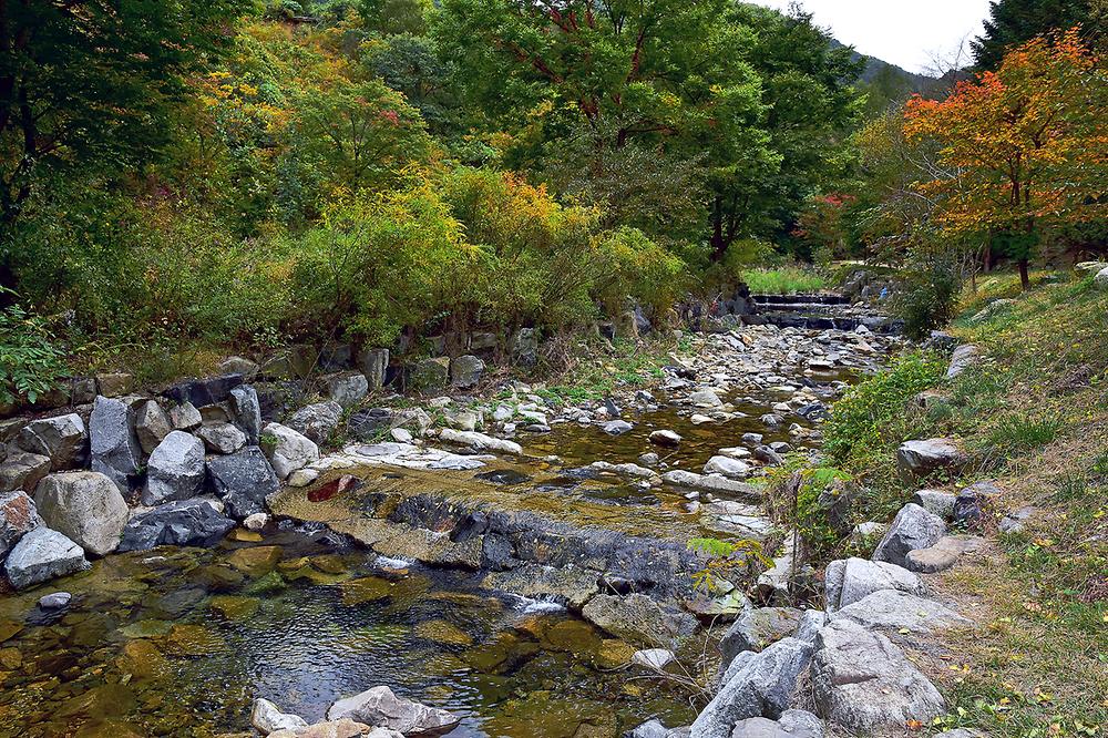 포천 아버지의숲 산정캠프 소개
