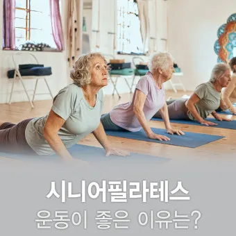 운동 루틴 걷기 근력 스트레칭 낙상 예방 실천법_13