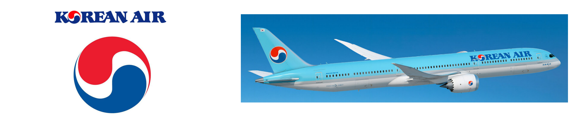 대한항공 로그 및 디자인