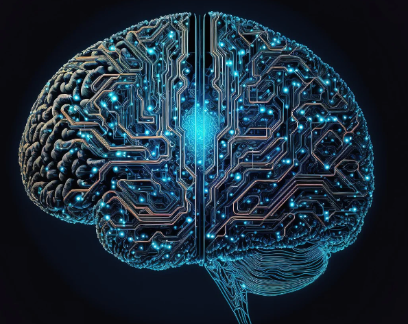 신경가소성: 뇌의 능력과 그 비밀