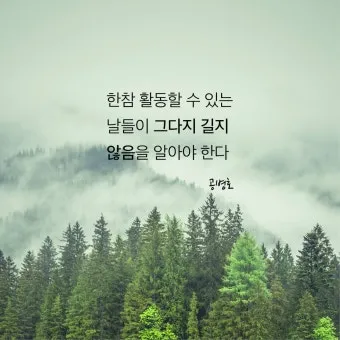 삶에 관한 시모음 총정리 삶에 관한 좋은글 명언 시 이미지로_2