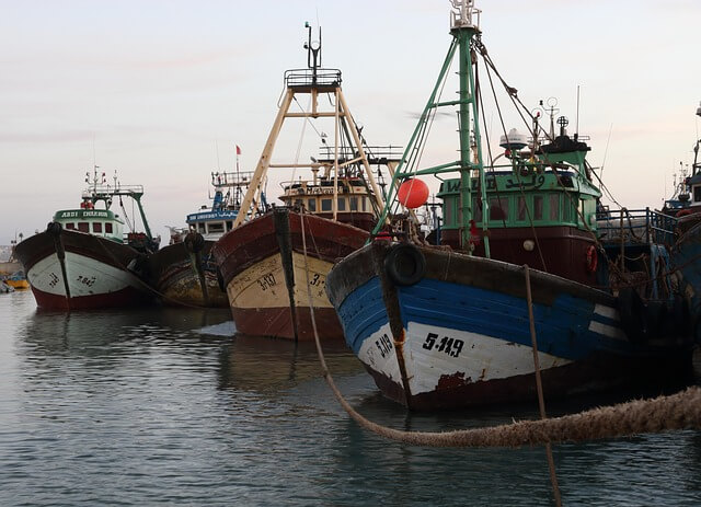 농어촌 기본소득 신청 방법 주의사항