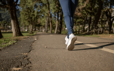 암환자 수면장애(불면증) 개선