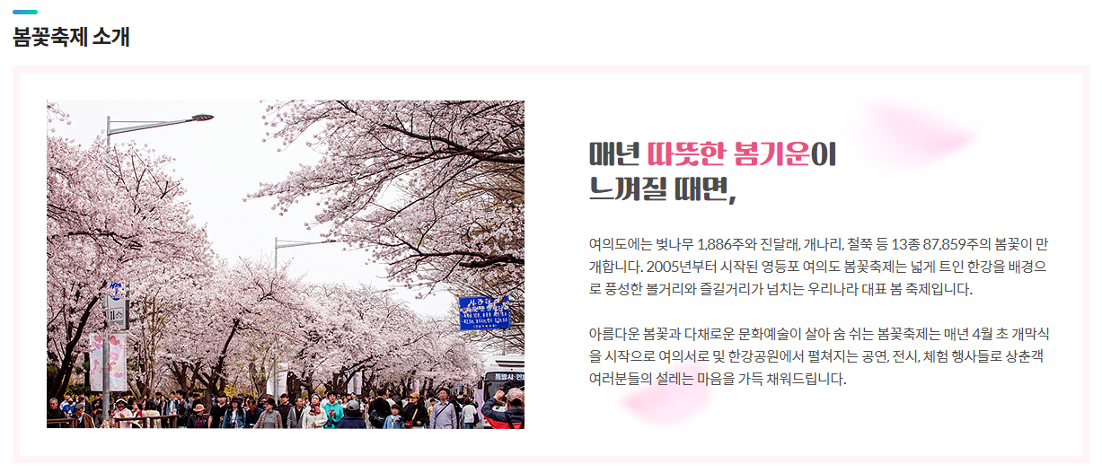 영등포 여의도 봄꽃축제 2025 맛집 주차 꿀팁정리