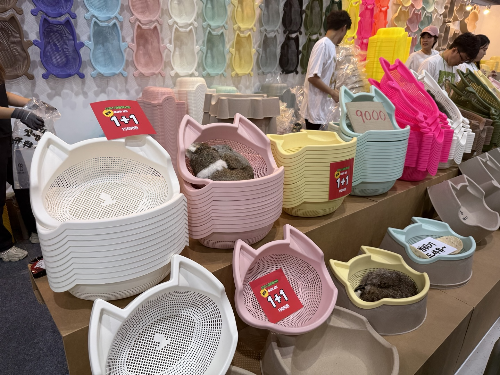 캣방 박람회 가격