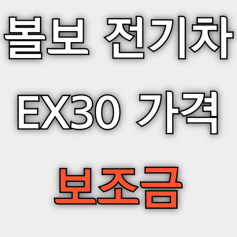 볼보 EX30 보조금 가격 시승