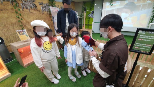 앵무새체험
