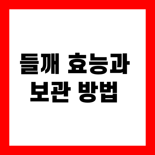 들깨 효능과 보관 방법