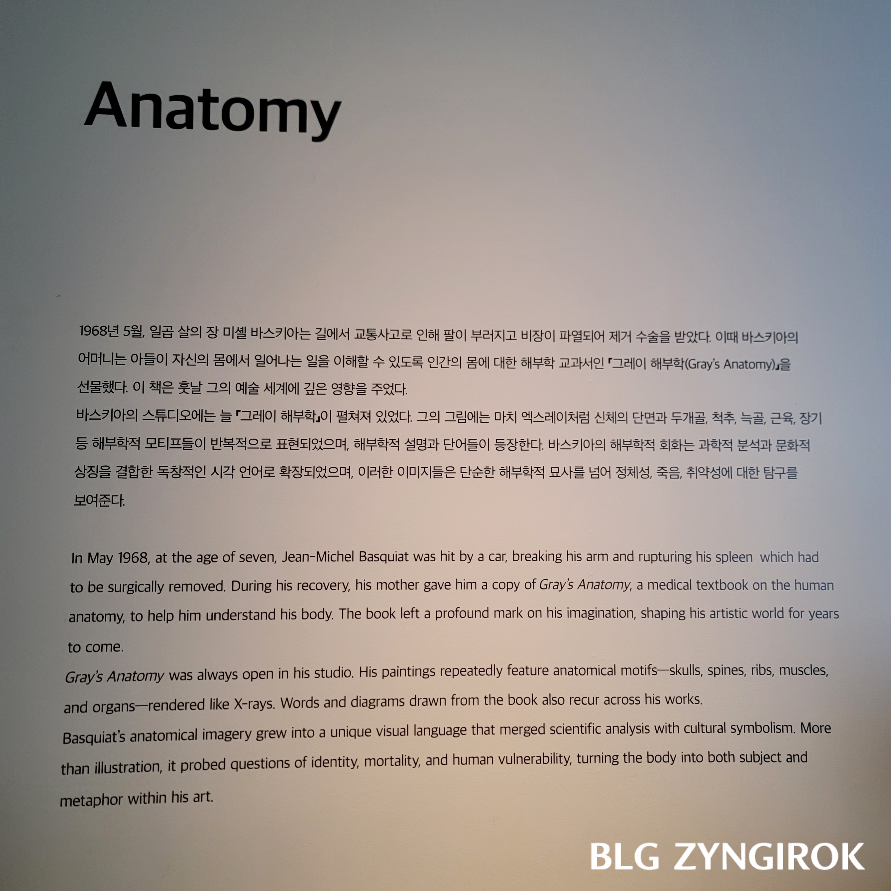 장미셀 바스키아 - 과거와 미래를 잇는 상징적 기호들