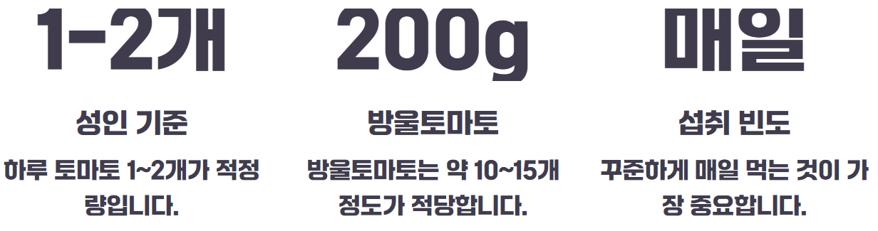 공복 토마토 섭취 효능과 부작용