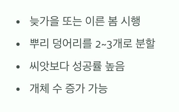 비결 4. 번식의 즐거움, '포기나누기'