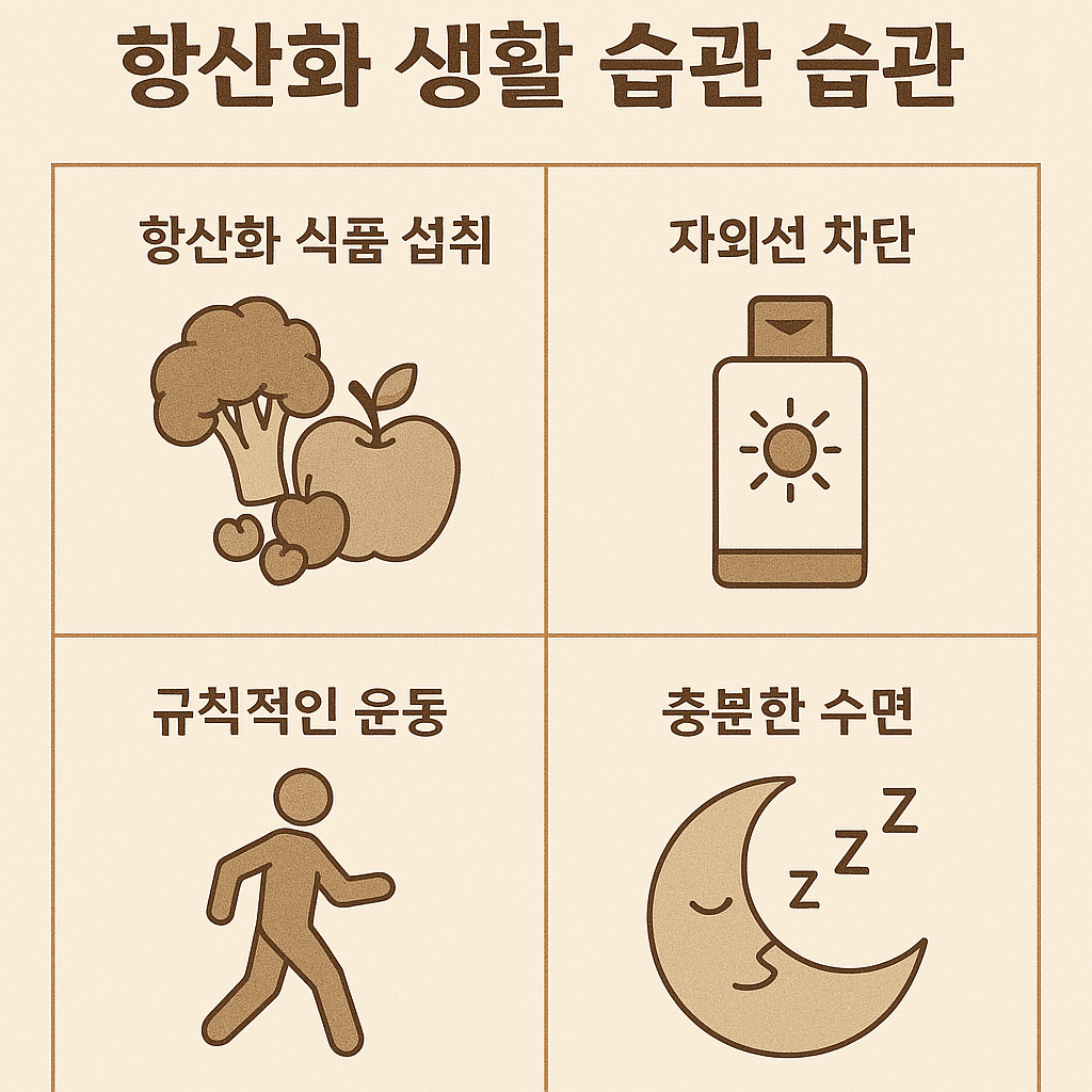 피부 노화를 늦추는 항산화 생활 습관