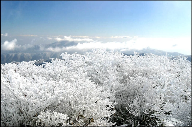 풍경