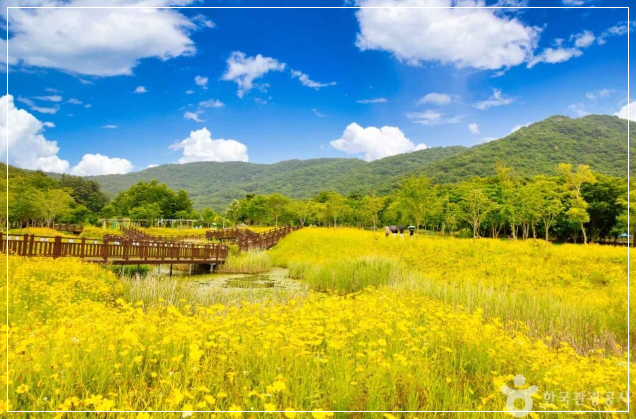 고창 가볼만한곳 베스트10 운곡람사르습지 생태공원