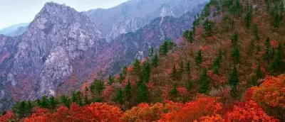 설악 케이블카