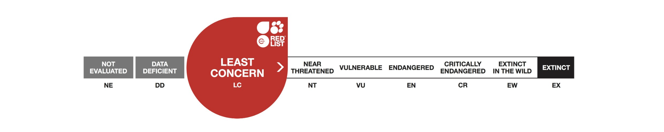 애기웜뱃 적색목록