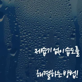 제습기 없이 습기 제거 끝 숯 염화칼슘 등 천연 제습제 활용법 완벽 가이드_22