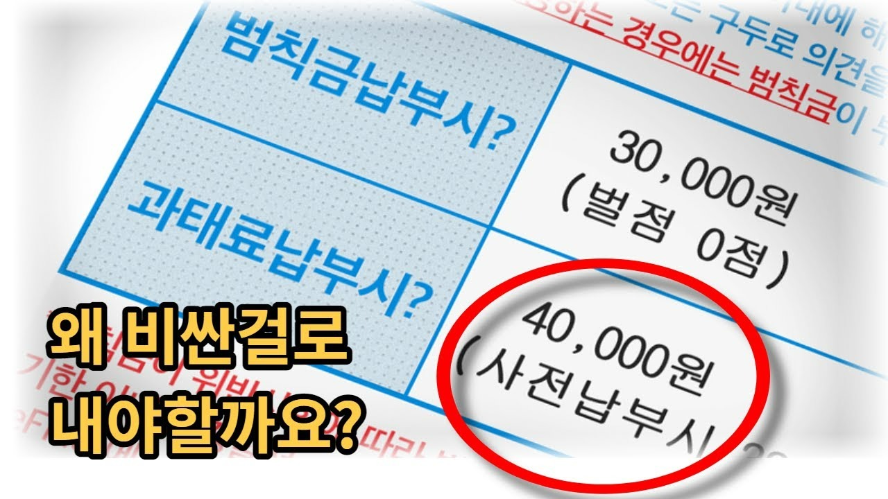 과태료와 범칙금의 차이