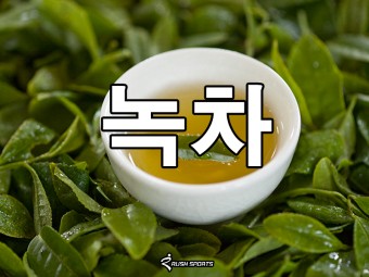 녹차