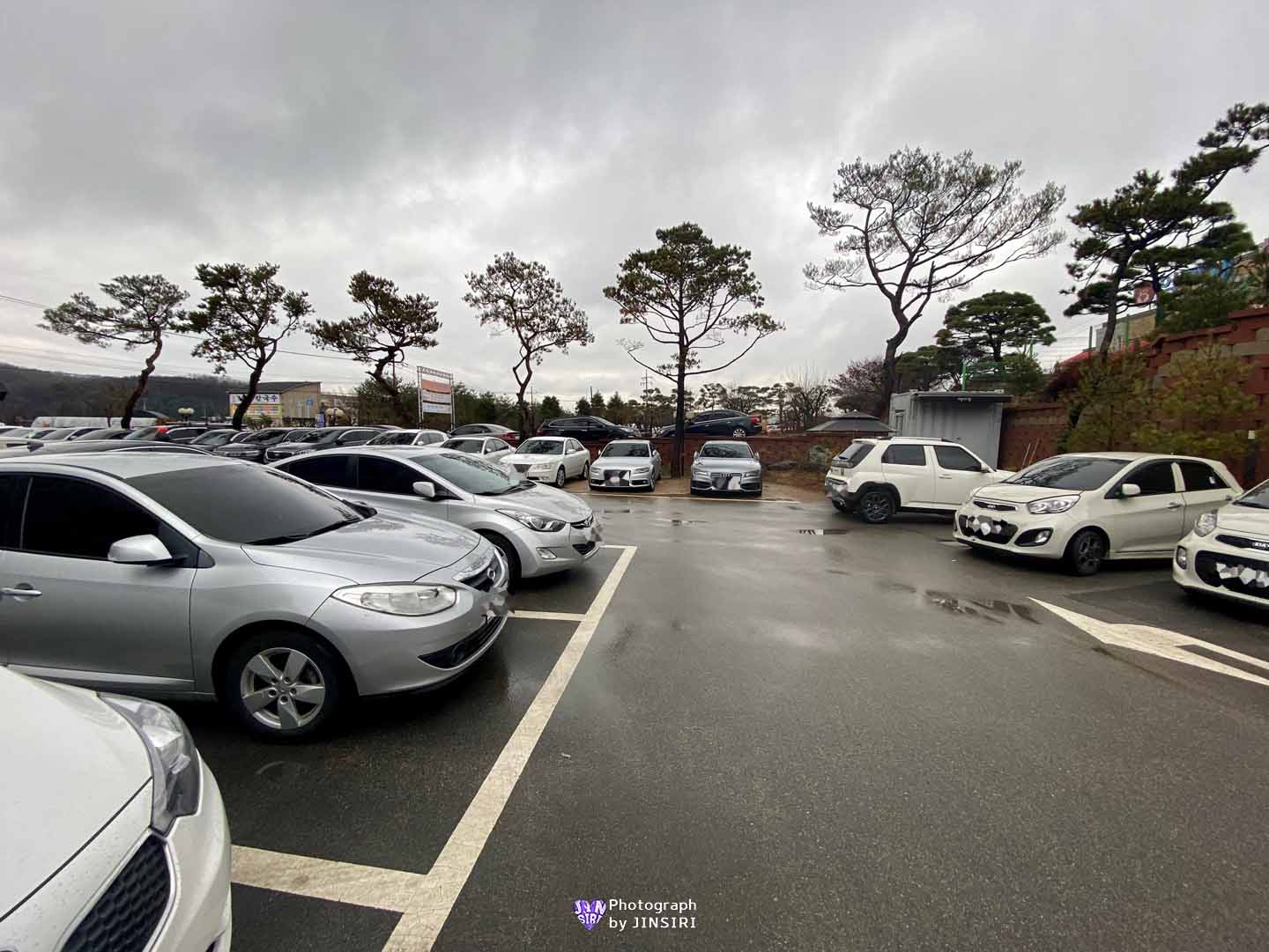 경기도 고양 베이커리 대형카페 빵집 추천 주말모임장소 데이트