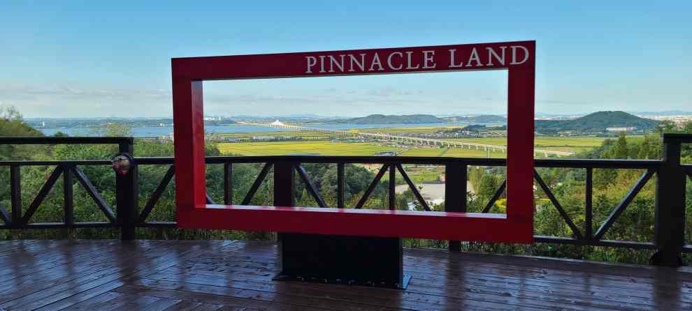 피나클랜드 튤립 수선화 축제