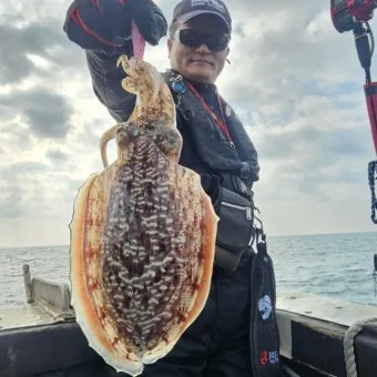 갑오징어 제철 시기 요리 레시피 황금레시피_4