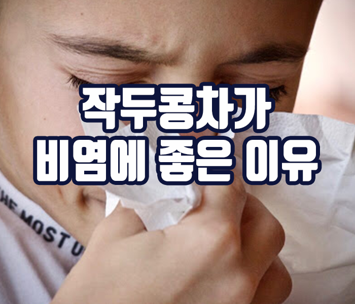 작두콩차가 비염에 좋은 이유 - 히스타민 억제, 항염 및 항산화작용 등