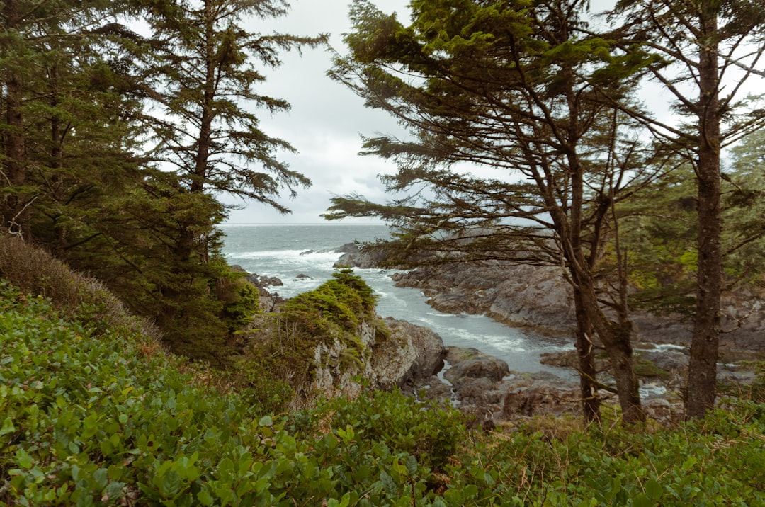 Ocean View