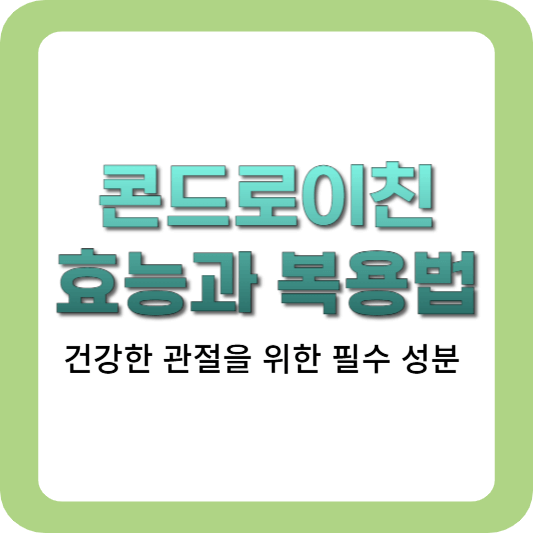 콘드로이친-효능-복용법