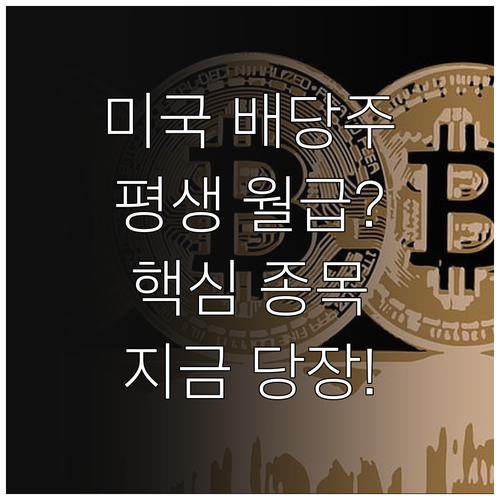 미국 배당주 투자 방법과 주요 우량주..