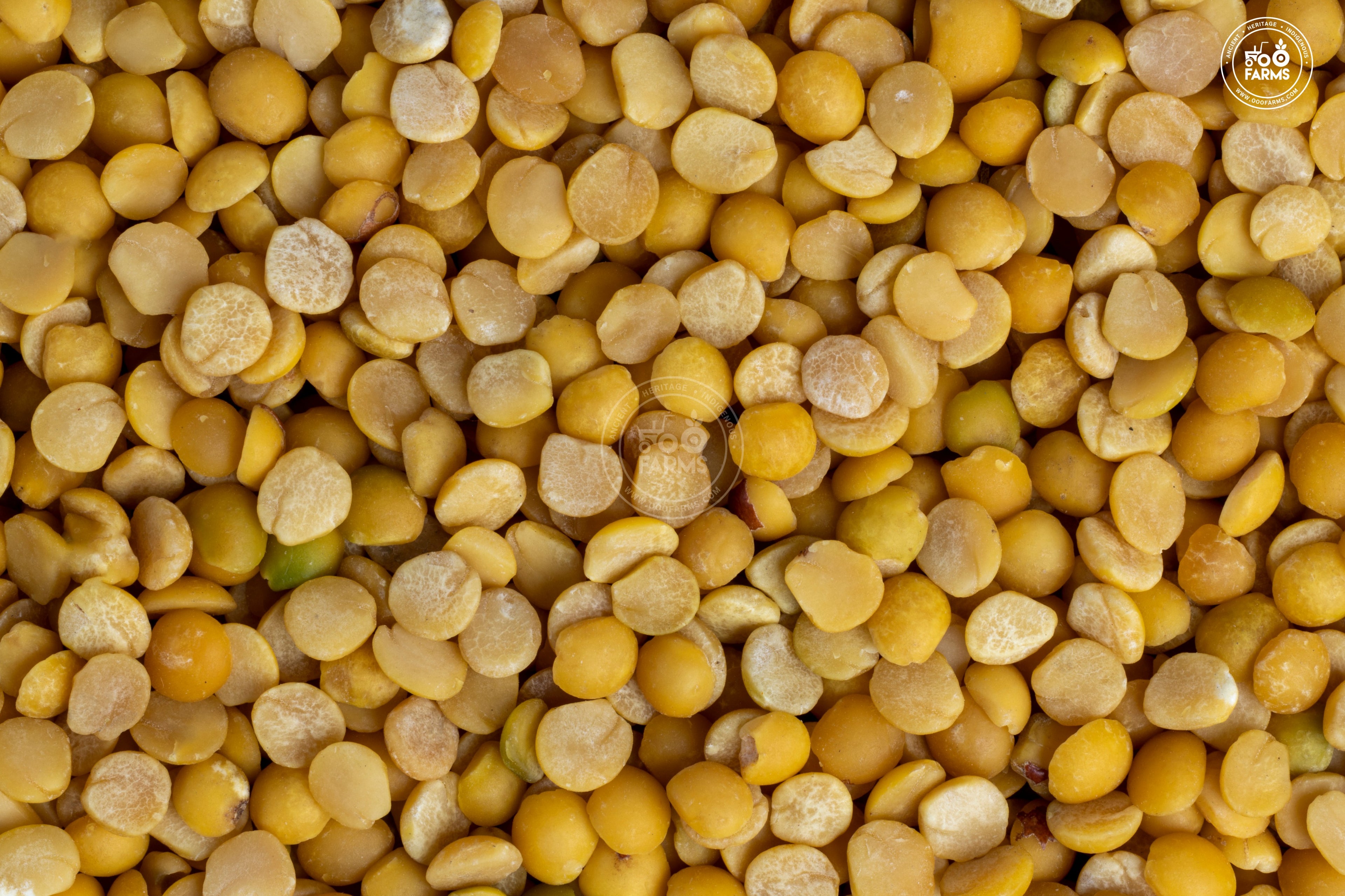 피전콩-비들기콩-건강잡곡