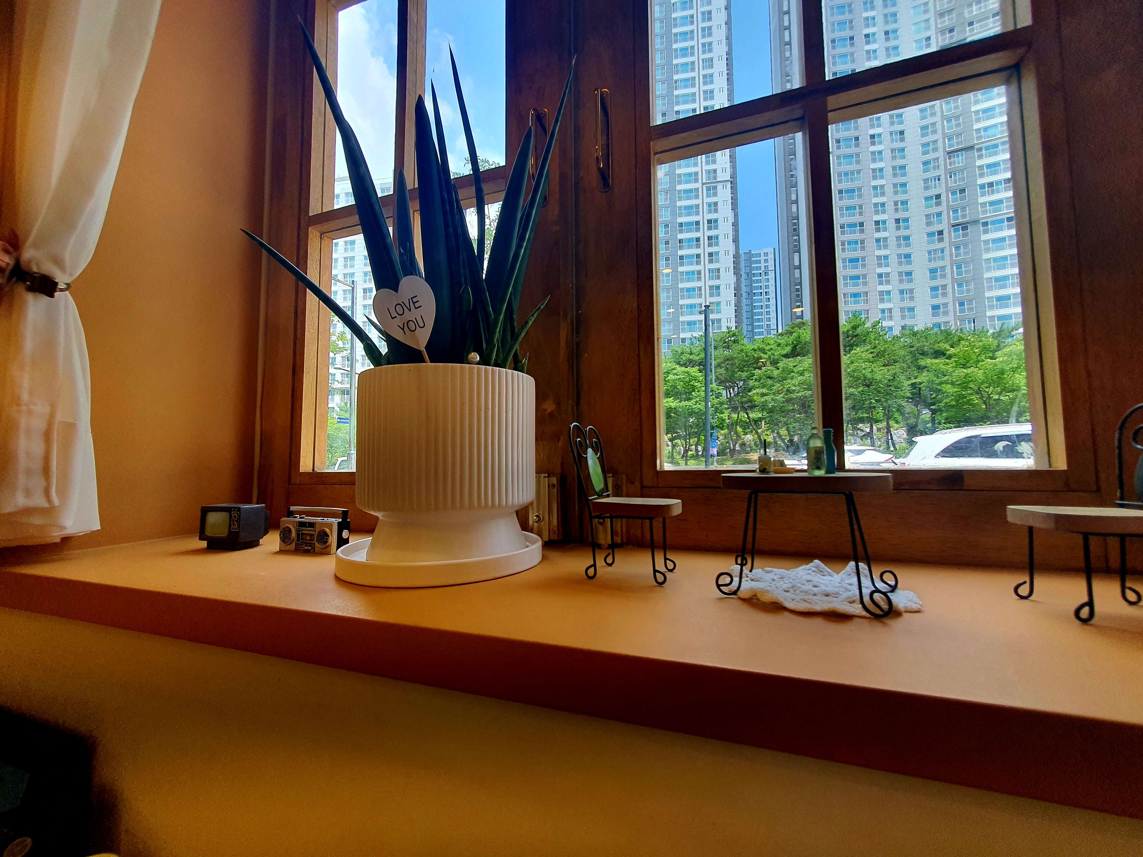 경양카츠 세종정부청사점