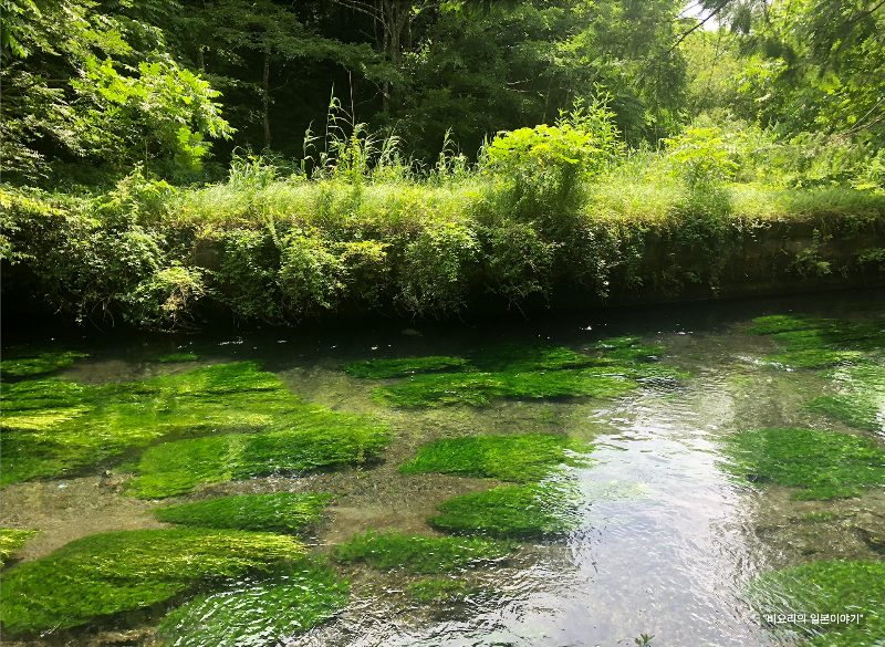도쿄 근교 소도시 여행 오시노무라