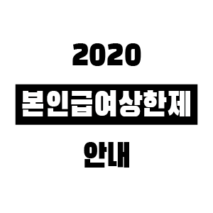 2020년 본인부담상한제 환급 안내