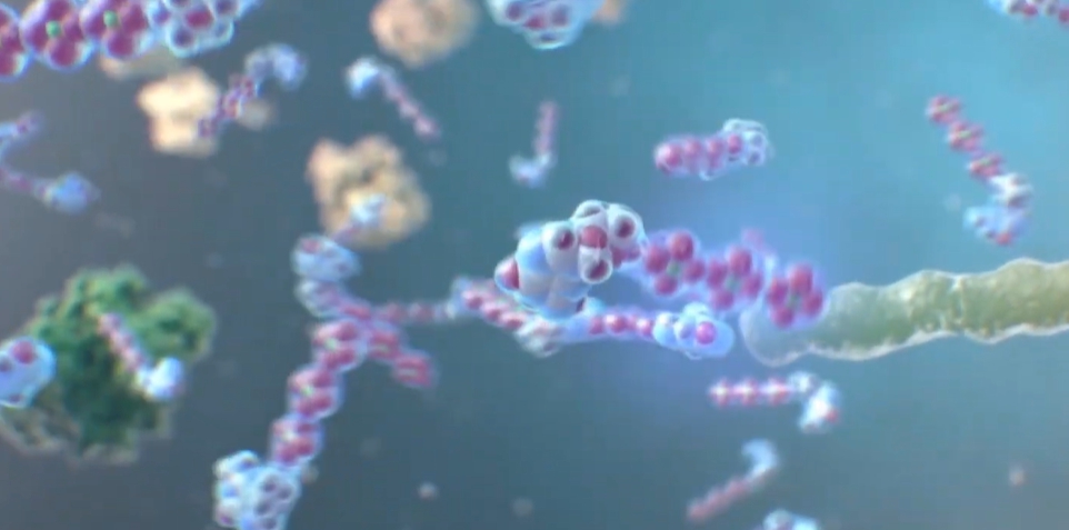 아시클로버 연고 효능