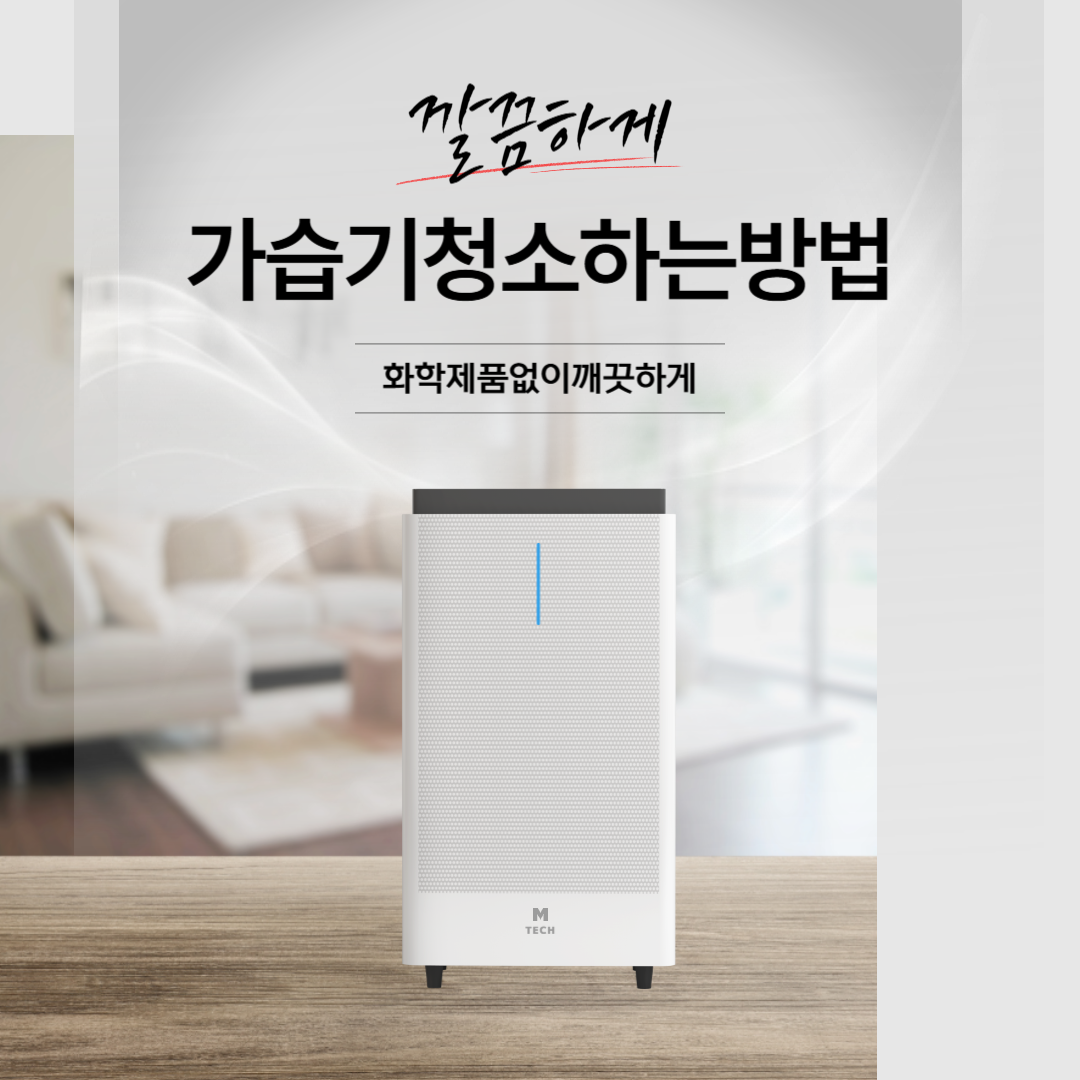 가습기 화학약품 없이 깔끔하게 청소하는 방법