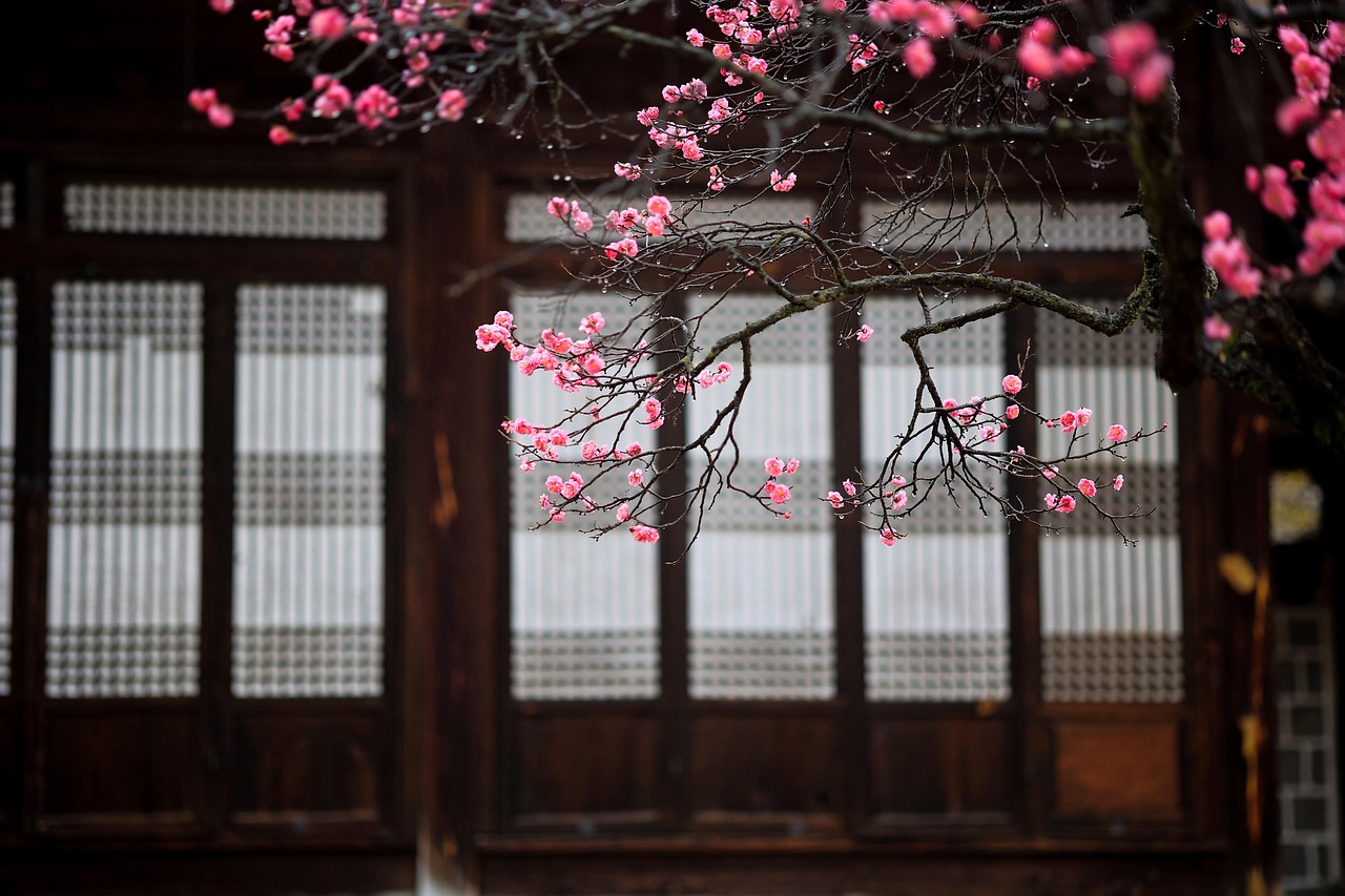 2025 아산 봄꽃 명소 추천