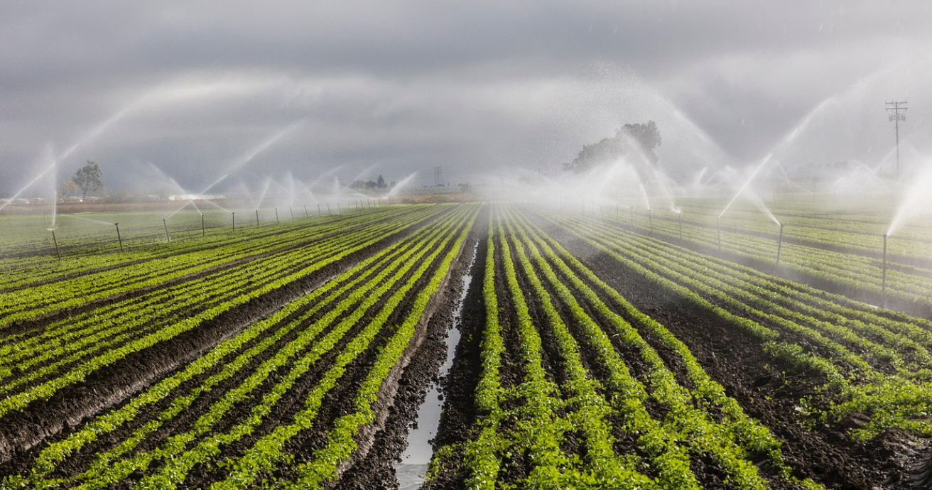 푸드테크(Food Tech) ― 인류의 식탁을 다시 쓰는 혁신
