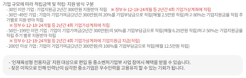 청년내일채움공제 정부 지원금, 기업 지원금, 기업 기여금, 기업 부담금, 만기 (출처: 고용노동부)