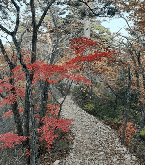 수렴동15