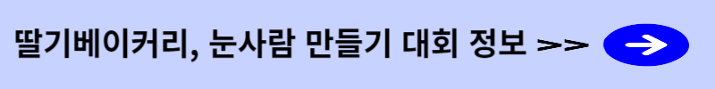 눈사람만들기 정보