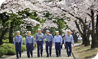 2023년 벚꽃축제 경남 진해군항제 지역축제 정보_벚꽃개화시기, 벚꽃 만개시기, 벚꽃군락지, 여의도 윤중로, 이월드 블라썸 피크닉.