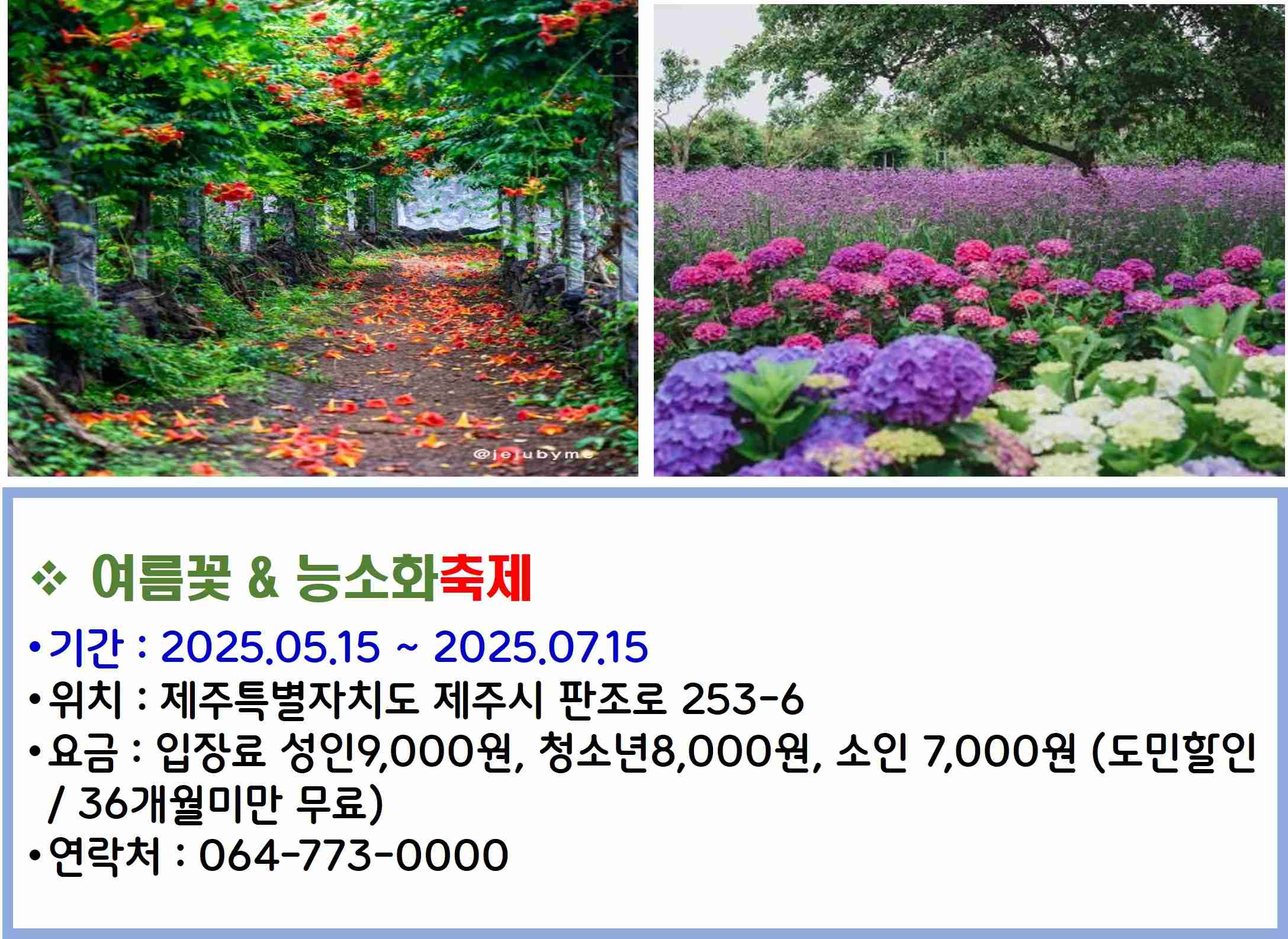 여름꽃 & 능소화축제
