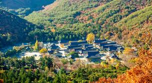 2024 청도읍성예술제 제 2회 대한민국 퓨전국악 대전 기본일정과 프로그램 소개 박지현 마이진 출연 