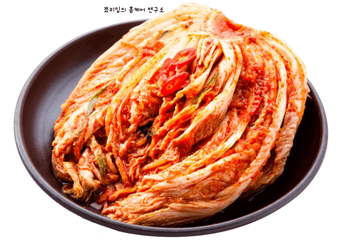 김치 사진