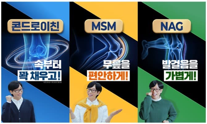 콘드로이친 효능