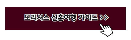 럭셔리 신혼여행